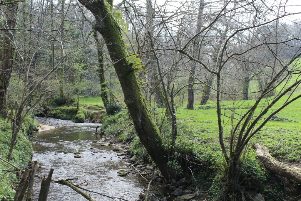 Naturaleza viva resized